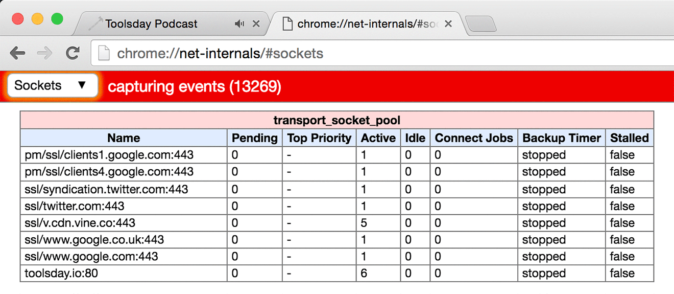 Active sockets shown in chrome://net-internals