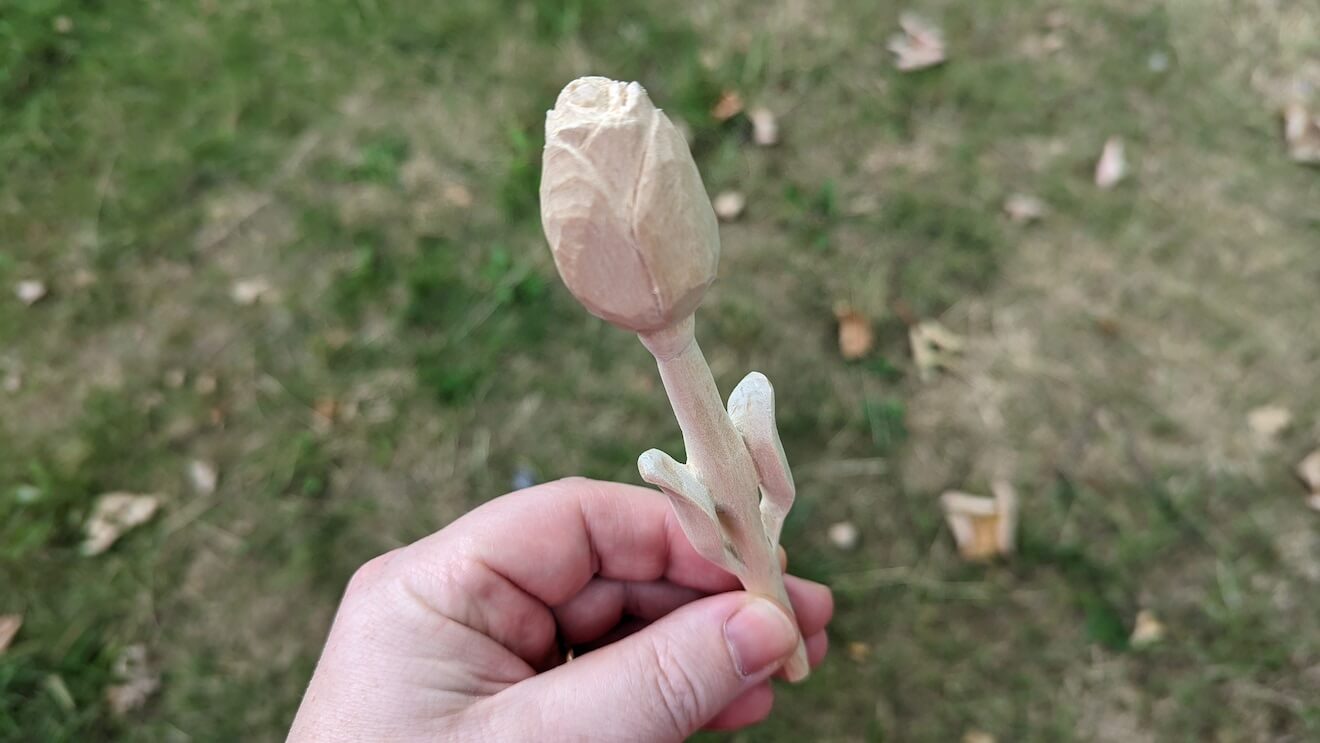 A rose for Tia