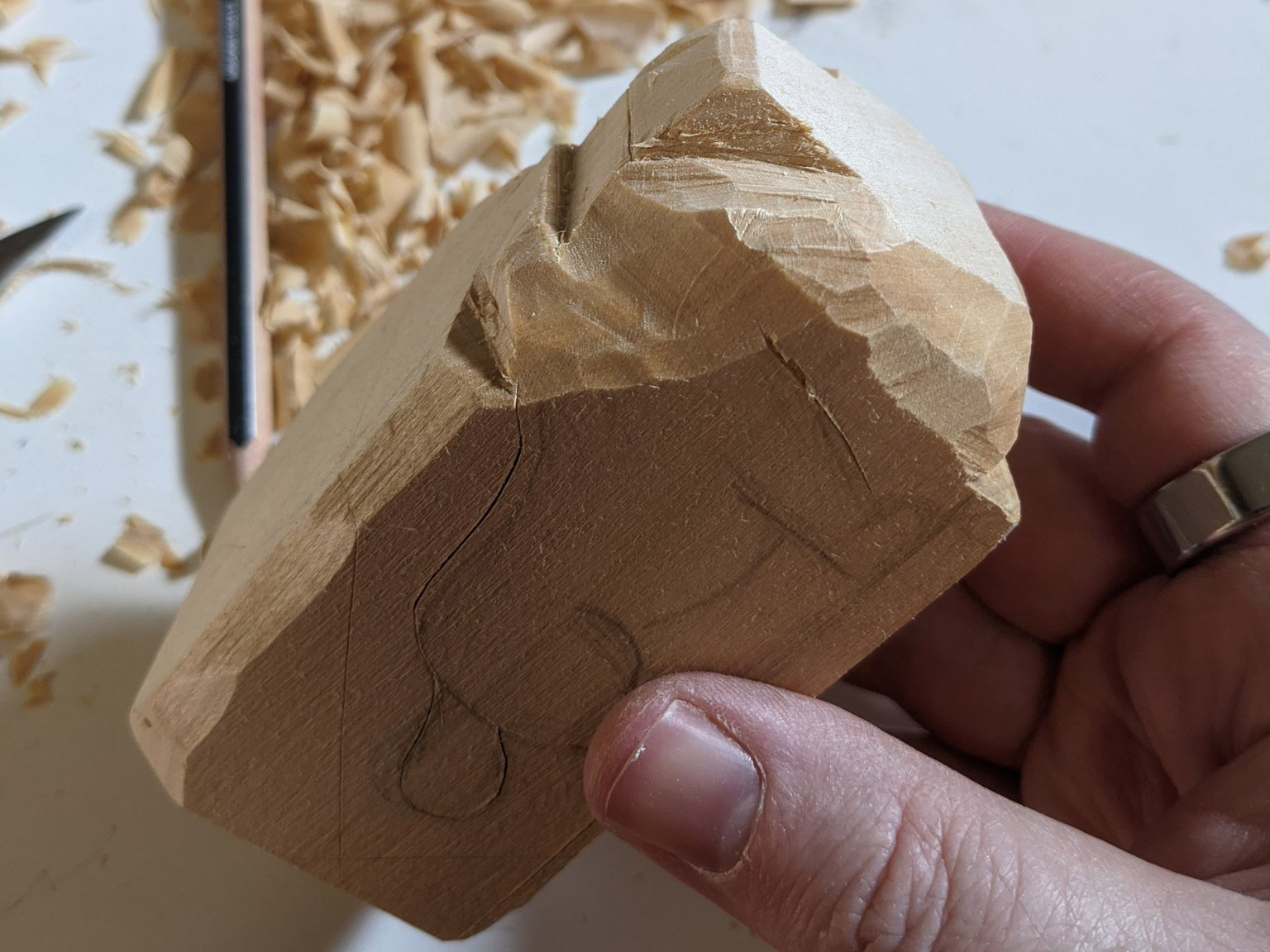 Rough chunks removed from the wood with a dog shape sketch on the side of the wood.